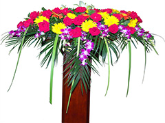 �c����Ʒ�����v�_(t��i)